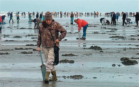 washington fish and game clamming.